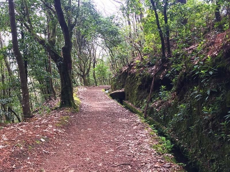Sweet Home For Holidays Machico (Madeira) Exterior foto